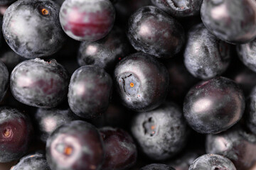 Fresh juicy blackberries on black background.  Summer berries.