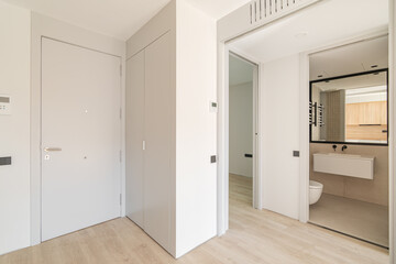 Entrance to the interior of modern apartment with white walls and wooden floor. View to the entrance door and bathroom with mirror.