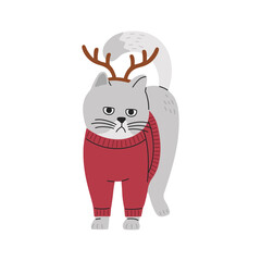 Cute grey cat with Christmas deer horns and cozy red sweaters. Adorable xmas holiday animal. Hand drawn illustration in flat cartoon style, isolated on white background