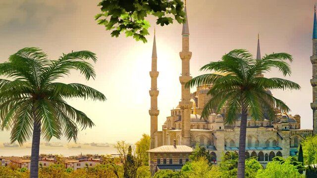 Sunset view at Blue Mosque Turkey Istanbul Over the Palm Tree Colorful profile
