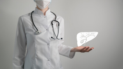 Gastroenterologist doctor, gall bladder specialist. Aesthetic handdrawn highlighted illustration of...