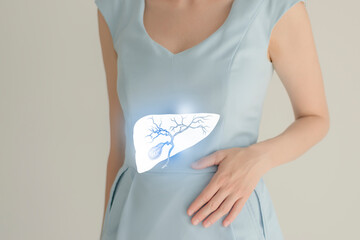 Woman in blue clothes holding virtual gall bladder in hand. Handrawn human organ, detox and...