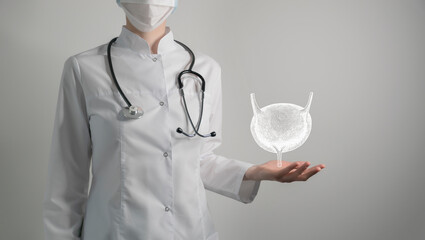 Nephrologist doctor, bladder specialist. Aesthetic handdrawn highlighted illustration of human...