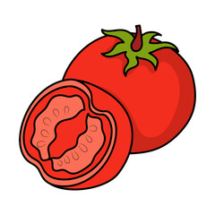 Simple Tomato, with hand drawn outline vector illustration