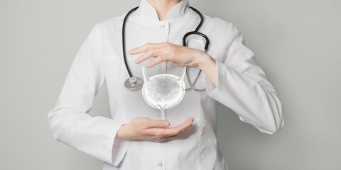 Nephrologist doctor, bladder specialist. Aesthetic handdrawn highlighted illustration of human bladder. Neutral grey background, studio photo and collage.