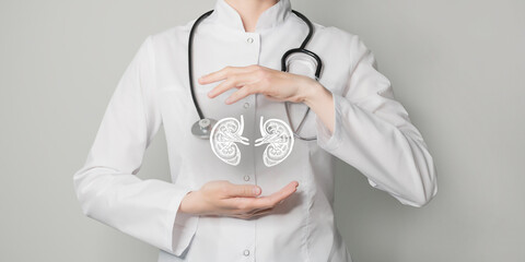 Nephrologist doctor, kidney specialist. Aesthetic handdrawn highlighted illustration of human...