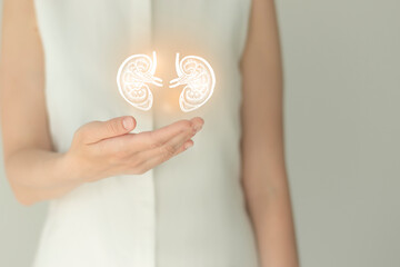 Woman in white clothes holding virtual kidneys in hand. Handrawn human organ, detox and healthcare, healthcare hospital service concept stock photo