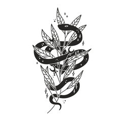 abstract illustration of mystical night. image of a snake, hands, phases of the moon and sun. sacred graphics geometry. mystical energy