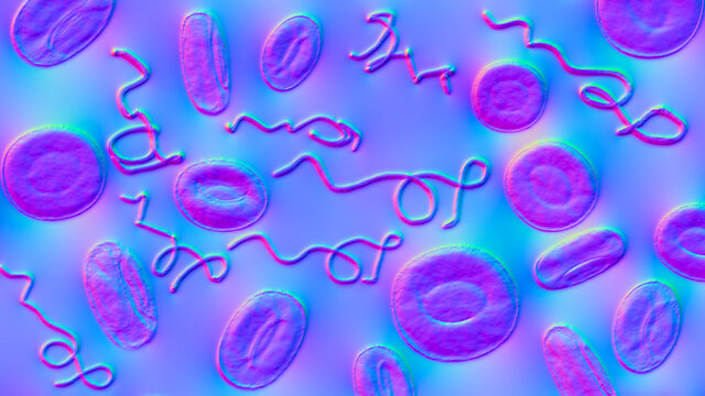 Borrelia Bacteria In Blood, 3D Illustration. The Causative Agent Of Lyme Disease And Relapsing Fever