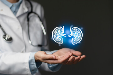 Nephrologist doctor, kidney specialist. Aesthetic handdrawn highlighted illustration of human kidney. Neutral grey background, studio photo and collage.