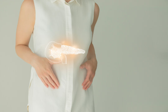 Woman in white clothes, handrawn human pancreas, healthcare service concept stock photo