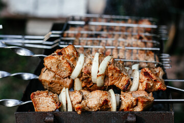 The meat is grilled on the grill. Shashlik
