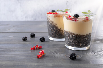 chia seed pudding, yogurt with red currants and blackberries and psyllium