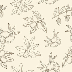 Seamless pattern with jojoba, argan, shea, macadamia. 