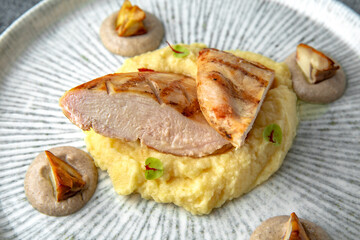 Grilled chicken fillet with mashed potatoes and fried mushrooms. Ready menu for the restaurant. Neutral gray blue textured background