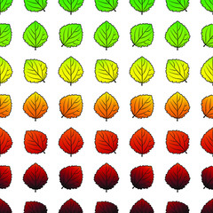 Fototapeta na wymiar aspen leaf pattern vector colour