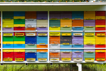 bee hive in Vipavska Dolina in Slovenia