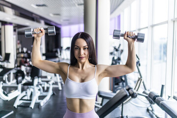 Attractive young sporty focused fitness woman doing biceps exercises while sitting on the bench and raising dumbell in the gym