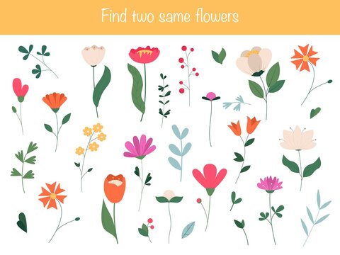 Find the same pictures - children educational game with different cute flowers. Vector illustration