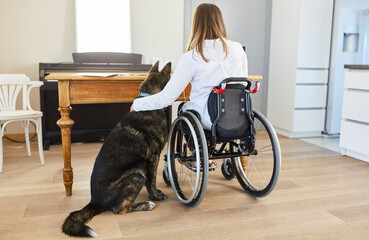 Assistance dog as support next to woman in wheelchair
