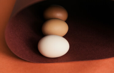 Chicken eggs are laid in a row on brown paper. Paper rolled into a spiral or oval. Easter eggs for the holiday.