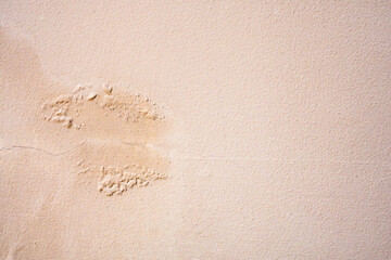Brown wall damp damaged with peeling paint