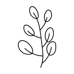 doodle botanical_fruit line icon