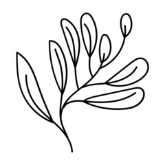 doodle botanical_leaf ornament line icon