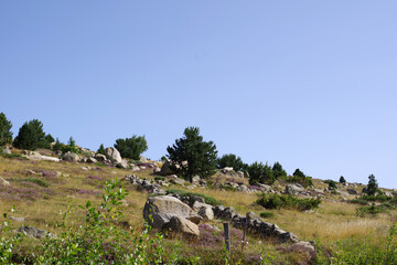 Paysage des montagnes pyrénéennes