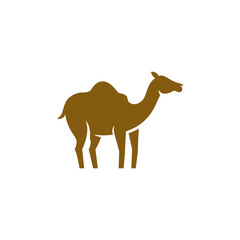 Camel Icon Vector illustration