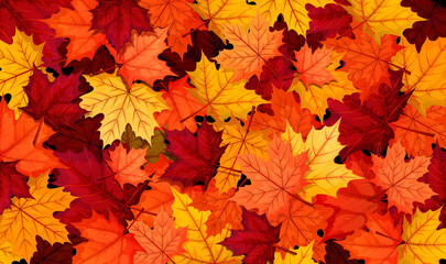 Naklejka na ściany i meble Autumn composition. Golden, yellow, red and orange maple leaves on black background. Concept of fall foliage. Vector illustration