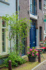 Fototapeta na wymiar house with green plants in the old district of Amsterdam 