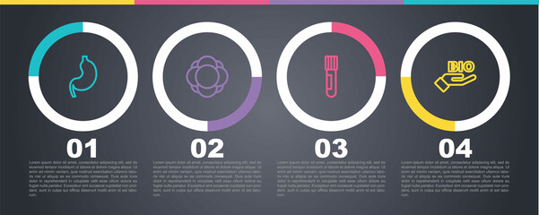 Set line Human stomach, Molecule, Test tube and flask and Bio healthy food. Business infographic template. Vector