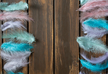 pastel colored feathers on wooden surface