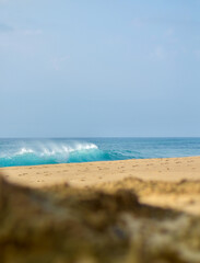 beach and sea