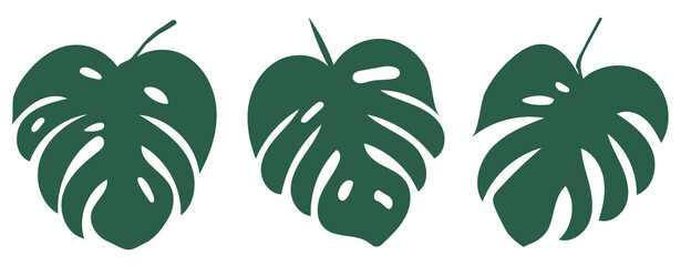 set of monstera leaves. The design of the Illustration of the vector Template of the Monstera Sheet Logo.. © Aksana