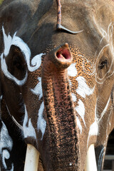 painted elephant at the festival of Thailand