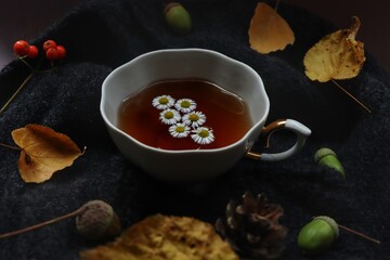 Autumn composition tea in foliage
