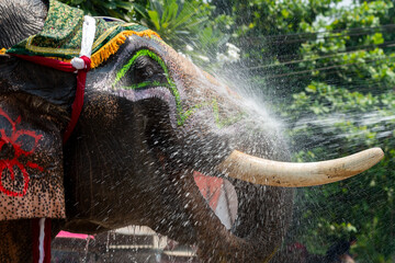 painted elephant at the festival of Thailand