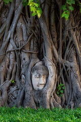 Phra Buddha head attached to a tree, Ayutthaya