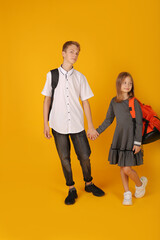 a schoolboy boy in a white shirt and gray trousers holds the hand of his younger sister in a school gray dress