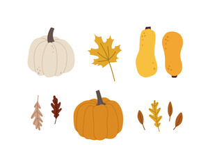 Hand-drawn autumn card with different pumpkins, and fall leaves. Concept of the fall season, nature, forest plants, tree foliage, harvesting time. Colored vector illustration, isolated on white.