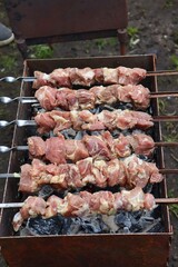 meat on the grill