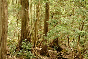 In Japan, we say Fall is the best season for arts and entertainment