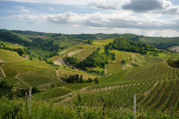 Fototapeta na wymiar Landscape of Langhe, Piedmont, Italy near Diano at May