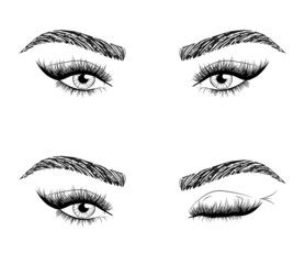 Woman's sexy luxurious eye with perfectly shaped eyebrows and fluffy lashes. Idea for business visit card, typography vector. Perfect salon look.