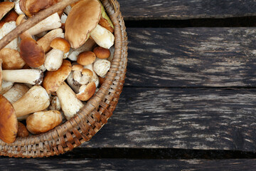Boletus Edulis mushroom on old wooden surface