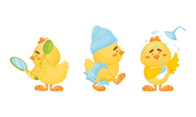 Little Yellow Chick Washing in Shower and Brushing Its Feathers Vector Set