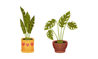 Fototapeta na wymiar Green Plant Growing in Ceramic Pot as Home Interior and Hygge Symbol Vector Set