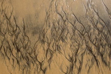 Muster im Sand bei Ebbe 